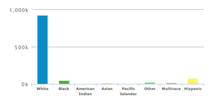 race-distribution-2013